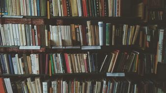 Bookcase Books Bookshelves