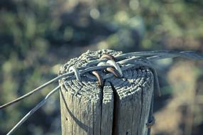 Wire Post Fence