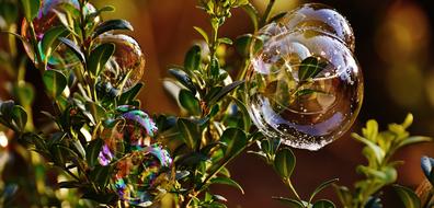 Soap Bubble Colorful Buxbaum