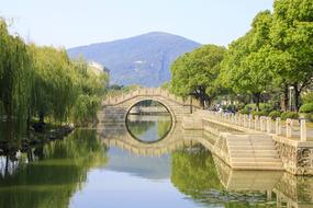 Bridge Running Water Trees