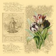 bouquet of tulips on a vintage picture