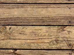 Texture Wood board