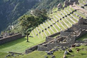 Peru Inca Trail Machu