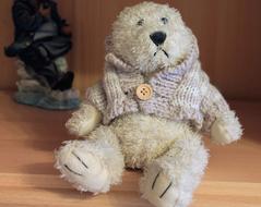 Teddy Bear Plush