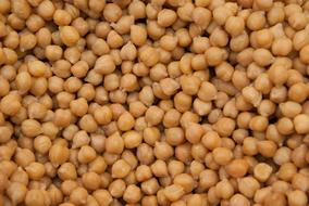 Chickpeas Legume