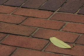 green leaf on brown brick floor