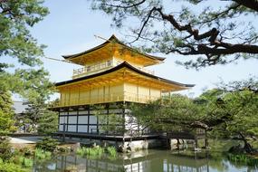 Temple Of The Golden Pavilion