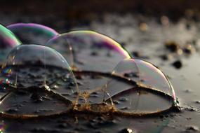 Blow Soap Bubbles Water