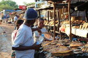 Market Fish and people