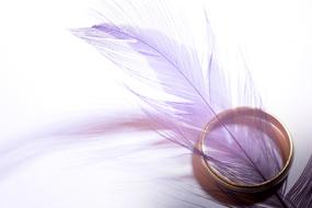 purple feather in a glass