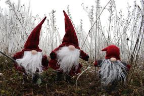 Imp Santa Claus Dwarf