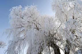 Winter Frost Icing