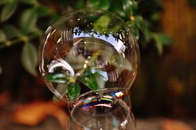 Soap Bubble Colorful Buxbaum