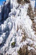 Ice Branch