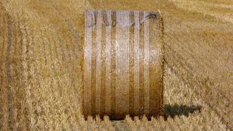 Harvest Hay Agriculture