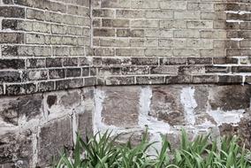 green grass and building facade with cracks