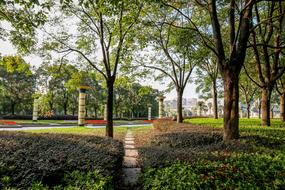 Path Green Zhejiang University