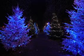 Christmas Lights Lichterkette