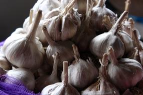 ripe fragrant garlic