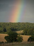 Rainbow Colors