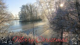 christmas christmas card