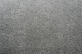 Paper Pattern âªSpider grey exture