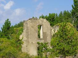 old Wall Ruins