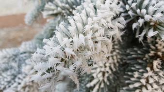 Winter Christmas Advent Snow