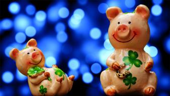 luck piglet lucky pig cute
