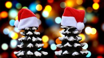 christmas firs snow trees funny