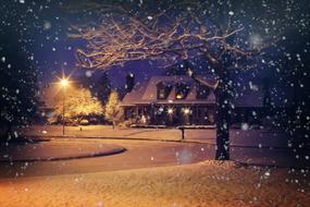 Midnight Snow Night tree