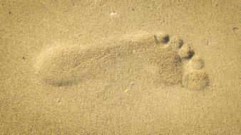 Footprint at Sand Beach