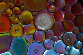Macro Wheels Colors