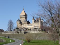 Beautiful castle among the fields and trees in Switzerland