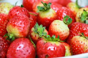 Vegetables Fruit