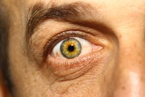 Œil Eyes Iris