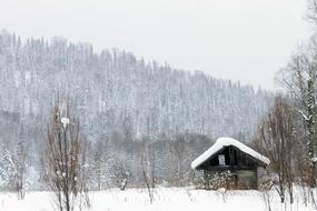 snow Barn Hut
