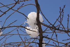 Snow Ice Winter