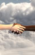handshake hold tight trust hand