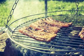Juicy barbecue outdoors