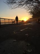 Dog and person Walking