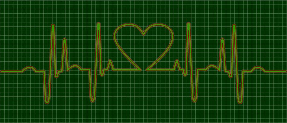 heartbeat pulse heart ecg