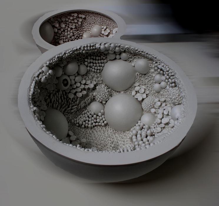 sea growths in the plate
