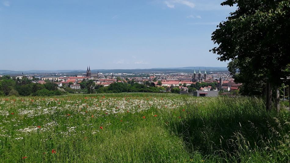 Bamberg Skyline View