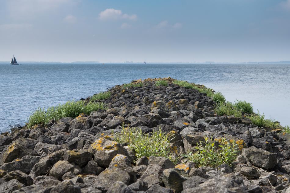 Rocks by the Ocean Water