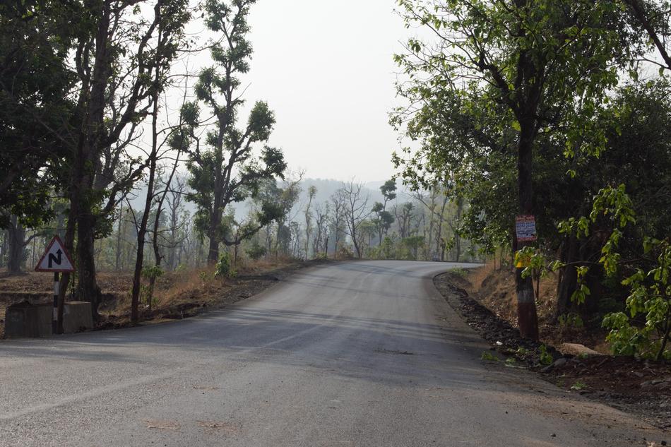 Road Nature Tree