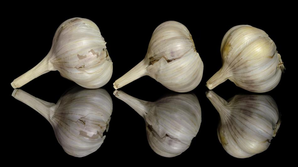 garlic fresh on a black background