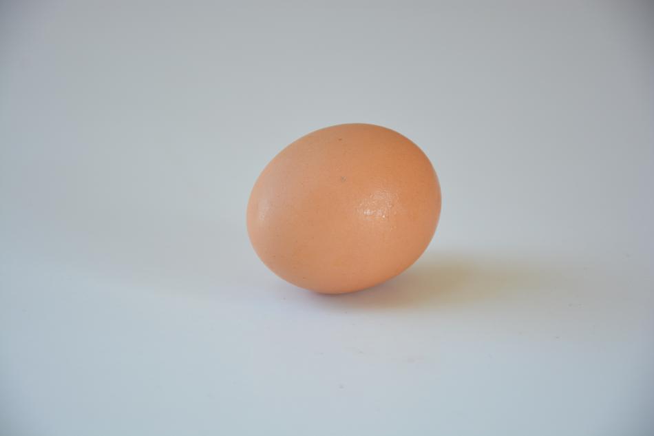 Egg Chicken