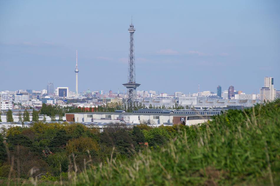 green grass with buildings