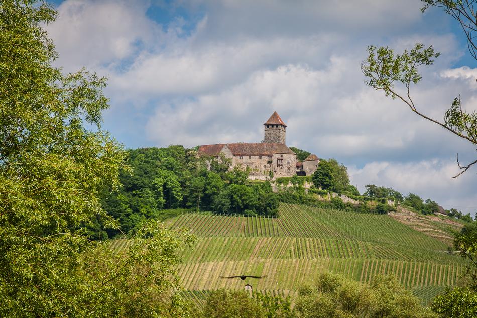 castle in the background of a field